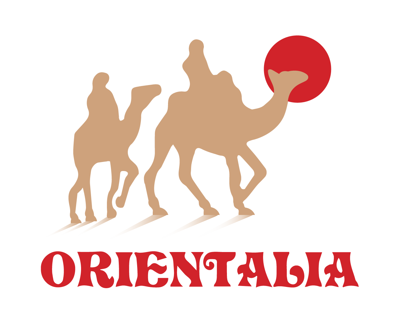 Hand Knotted Carpets