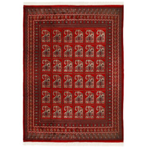 CAUCASIAN - PAKISTAN EXCLUSIVE HANDKNOTTED CARPET 287 x 393 cm