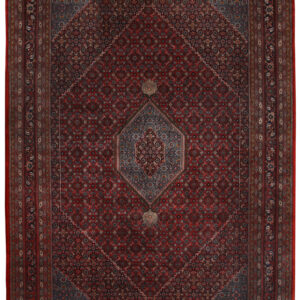 BIDJAR - INDIAN EXCLUSIVE HANDKNOTTED CARPET 298 x 405 cm