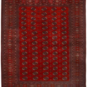 BOKHARA - ORIENTAL HANDKNOTTED CARPET 275 x 345 cm