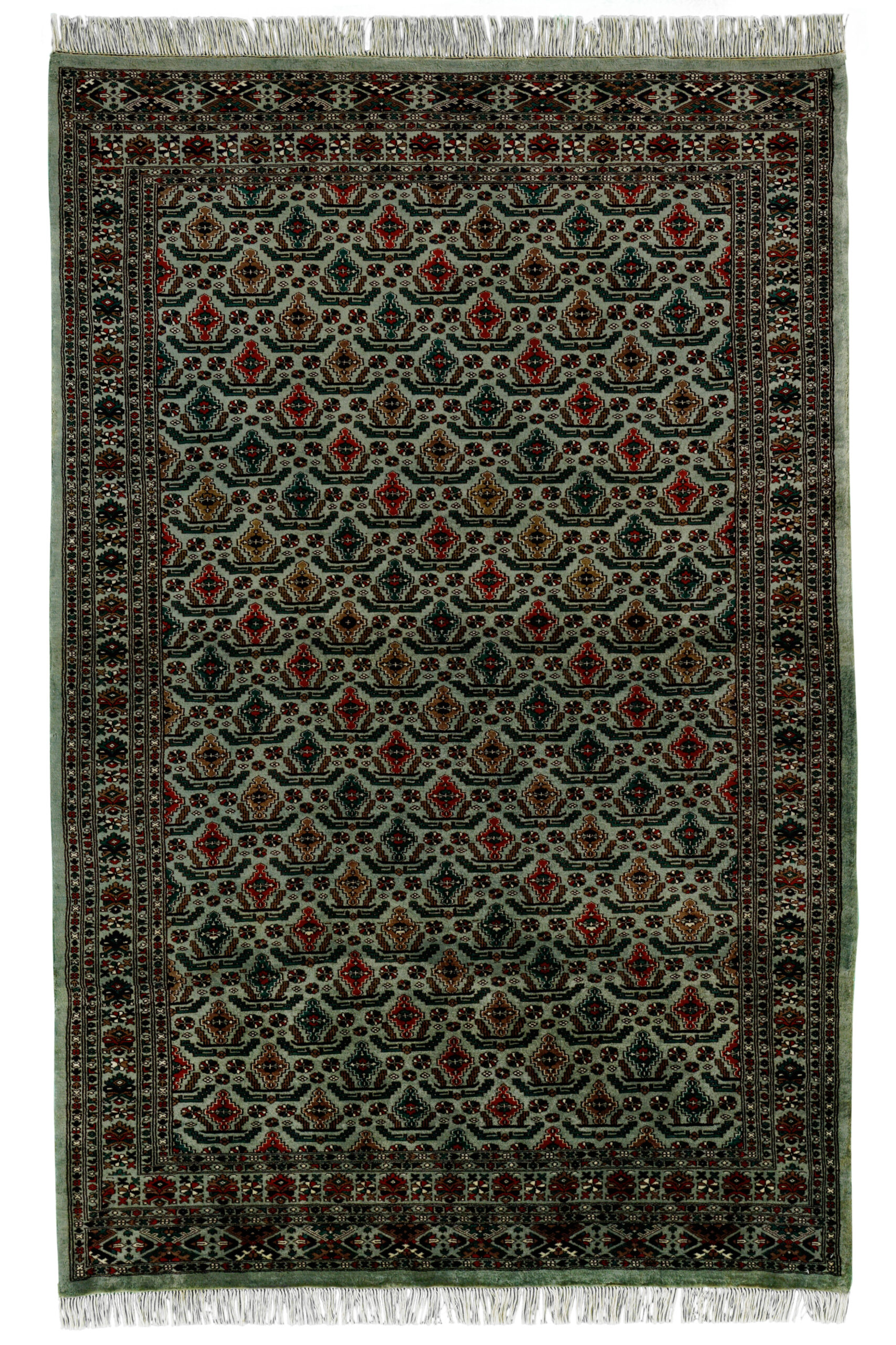 CAUCASIAN - PAKISTAN TRADITIONAL HANDKNOTTED CARPET 155 x 240 cm