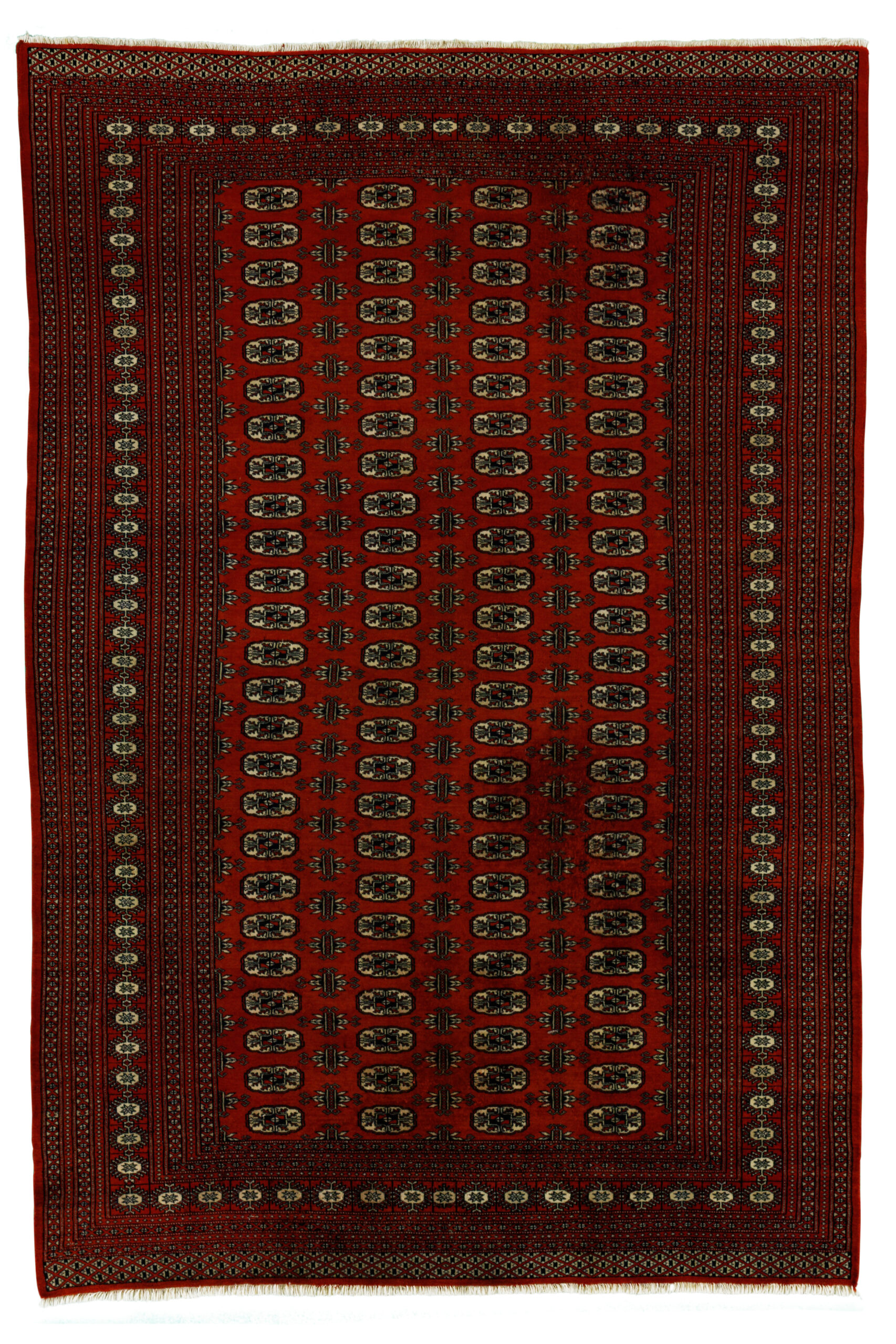 BOKHARA - PAKISTAN TRADITIONAL HANDKNOTTED CARPET 189 x 277 cm