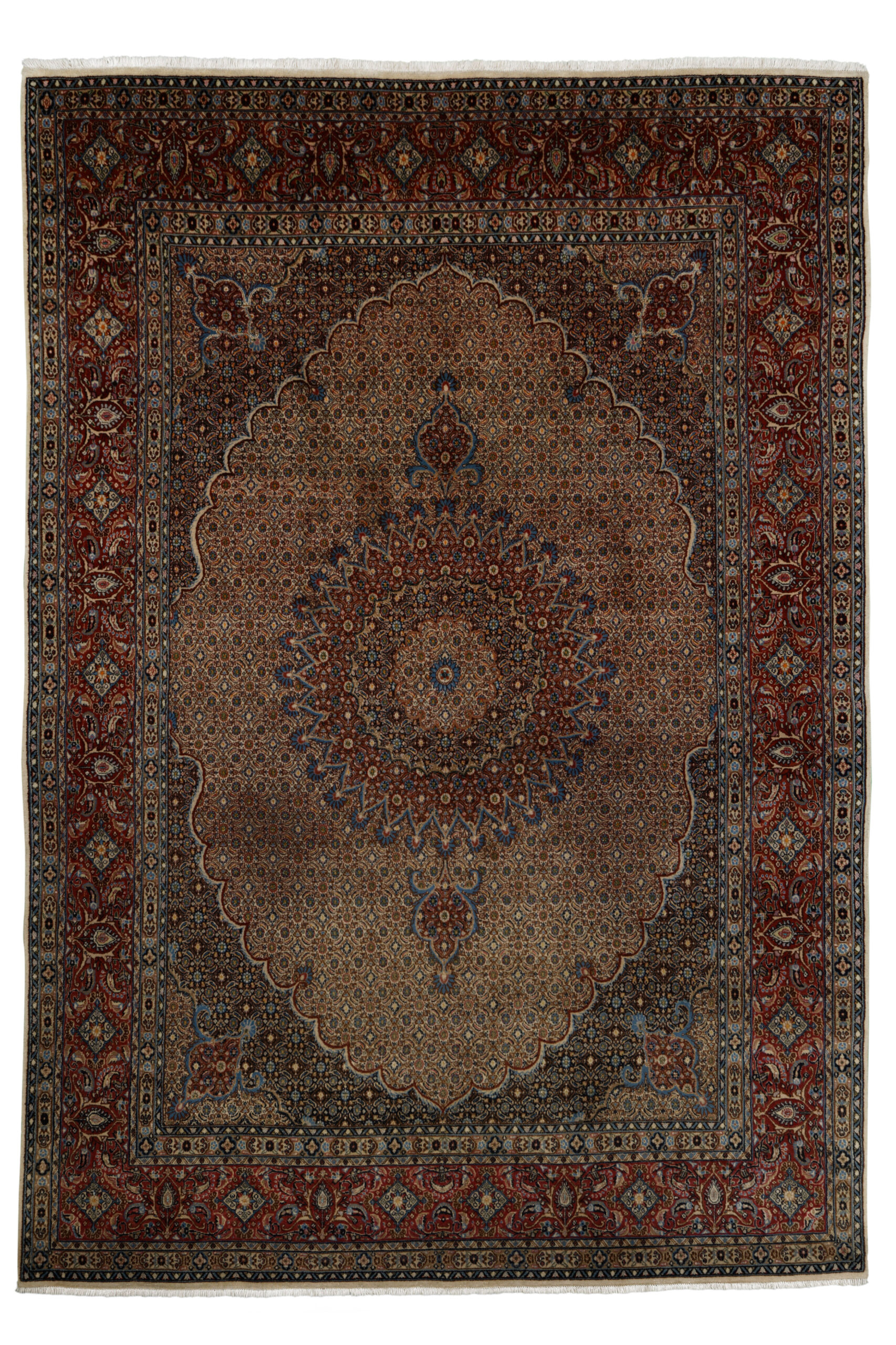 MOUD - ORIENTAL HANDKNOTTED CARPET 244 x 343 cm